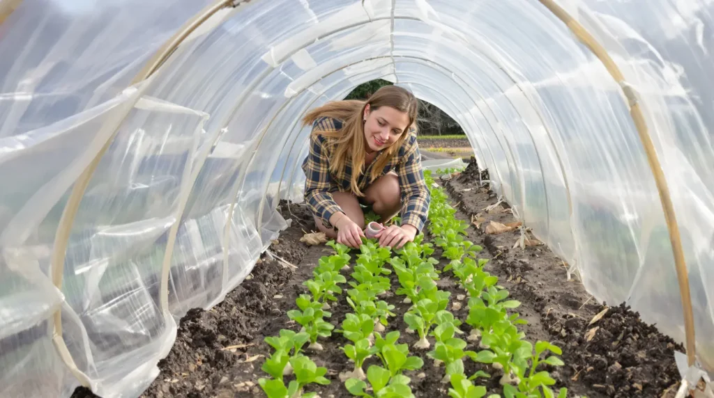 8 Légumes à semer avant fin février pour une récolte précoce et gourmande